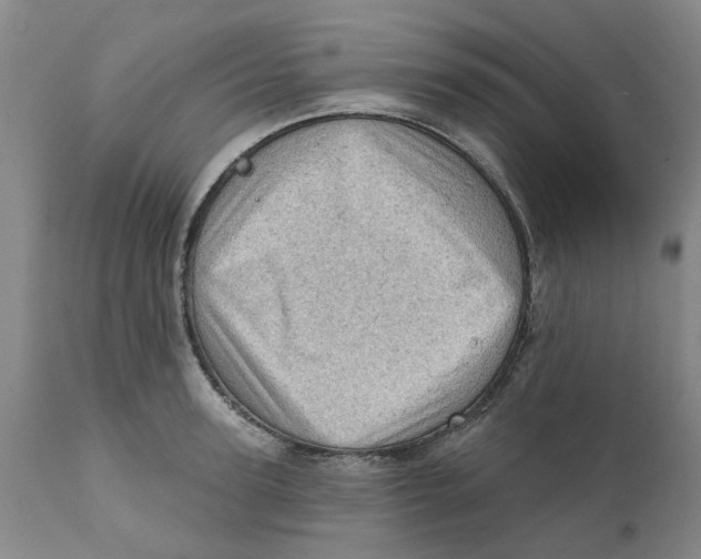 X0000111940947200908241137