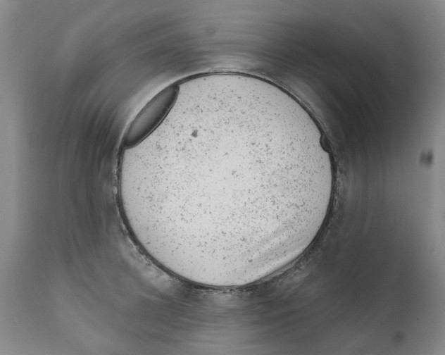 X0000111940948200908241137