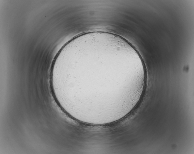 X0000111940949200908241137