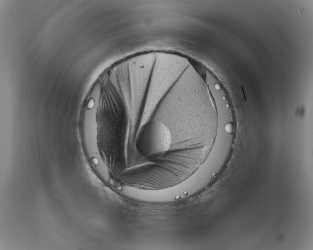 X0000111940950200908241137