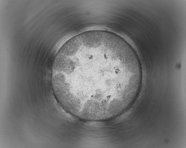 X0000111940953200908241137