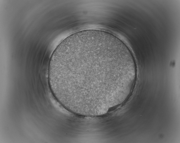 X0000111940954200908241137