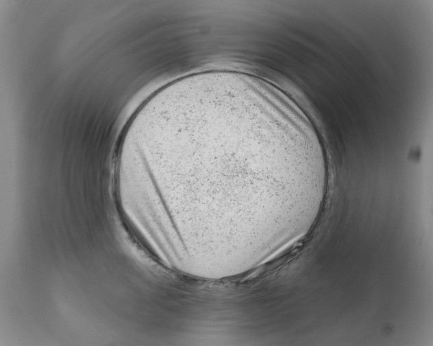 X0000111940955200908241137