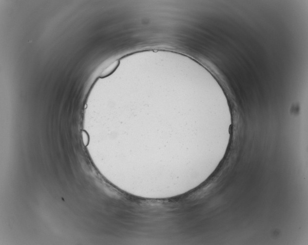 X0000111940956200908241137