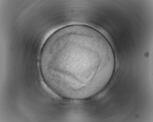 X0000111940958200908241137