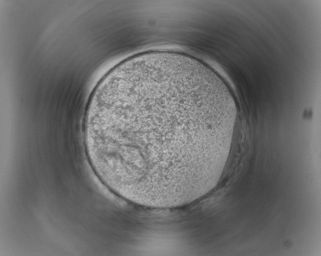 X0000111940959200908241137