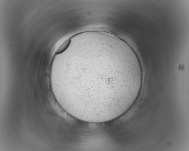 X0000111940960200908241137