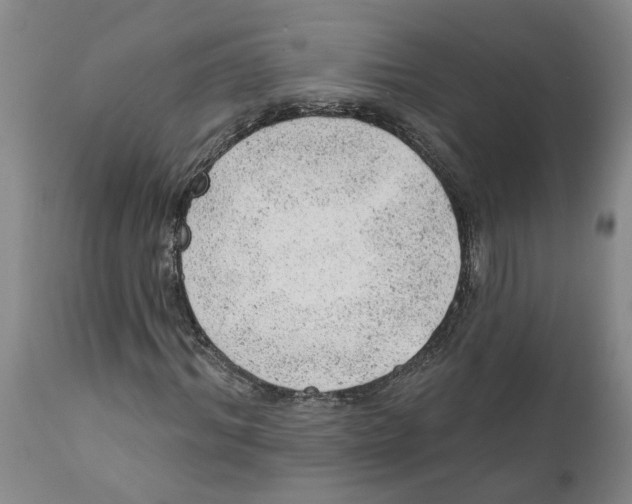 X0000111940964200908241136