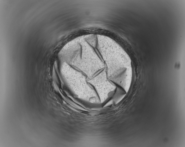 X0000111940965200908241136