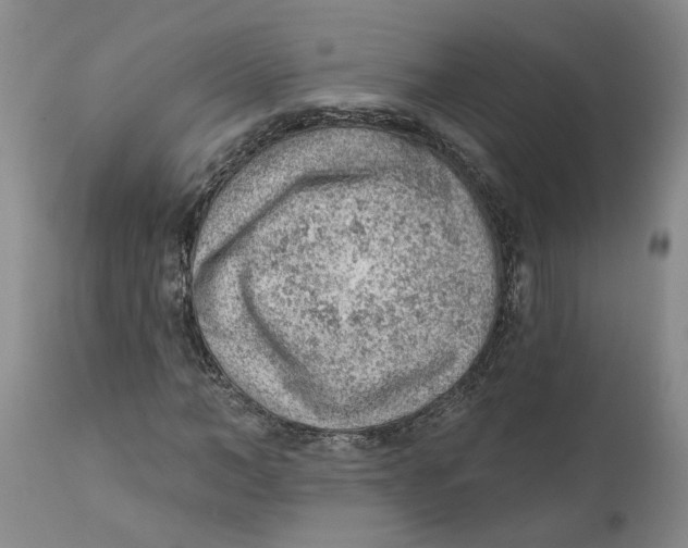 X0000111940966200908241136