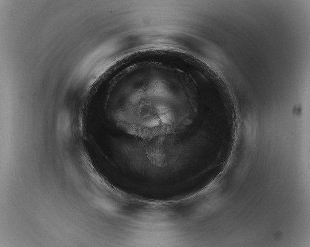 X0000111940969200908241136