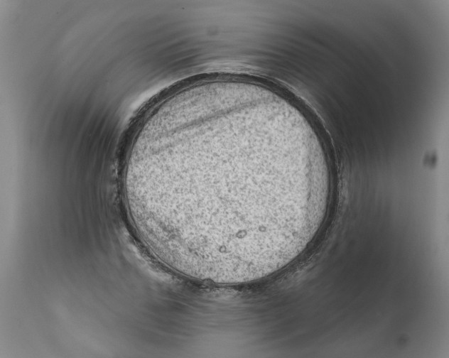 X0000111940971200908241136