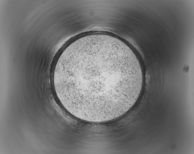 X0000111940972200908241136