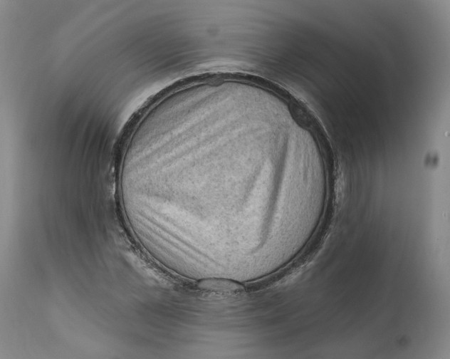 X0000111940973200908241136