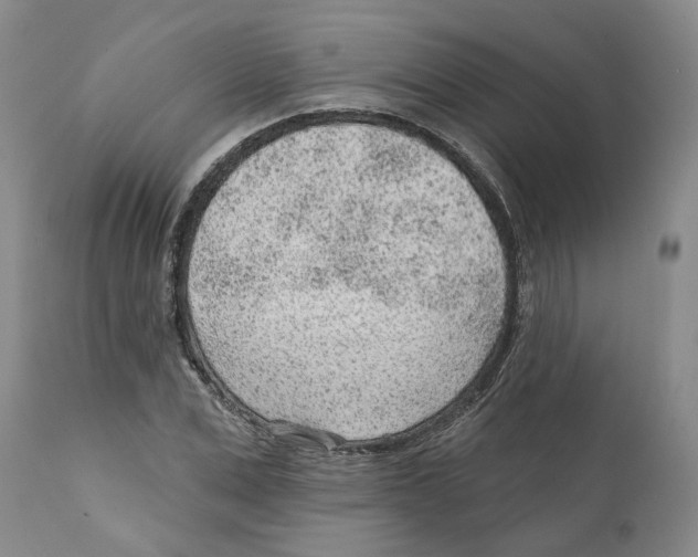 X0000111940975200908241136