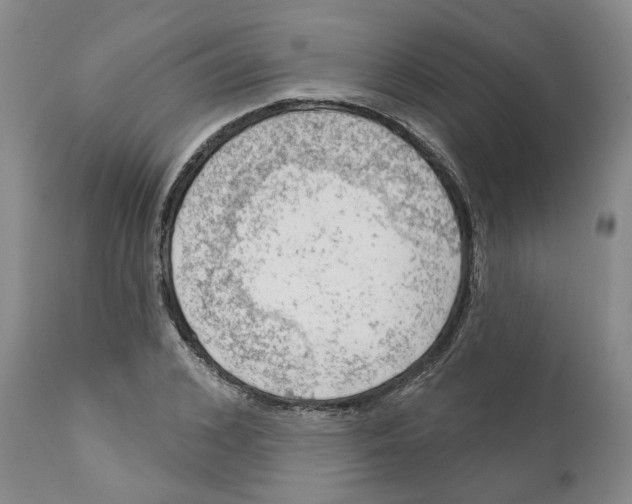 X0000111940976200908241136