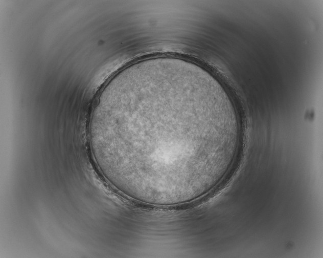 X0000111940977200908241136