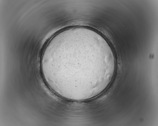 X0000111940981200908241136