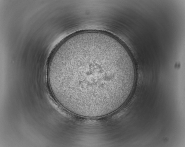 X0000111940982200908241136