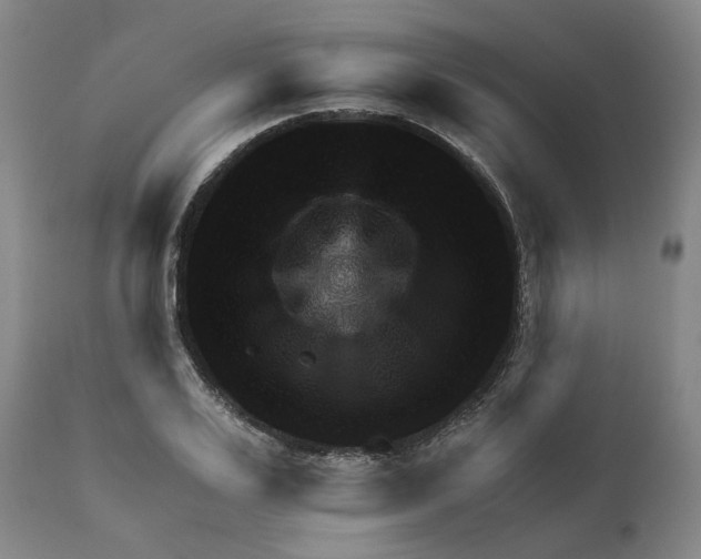 X0000111940983200908241136