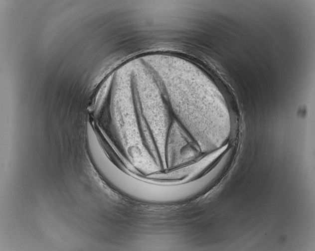 X0000111940985200908241136