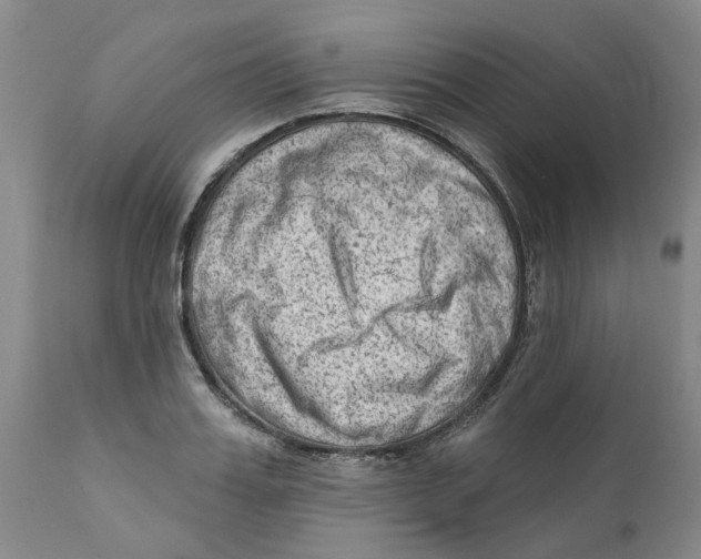 X0000111940987200908241136