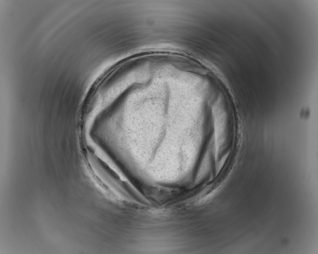 X0000111940989200908241136