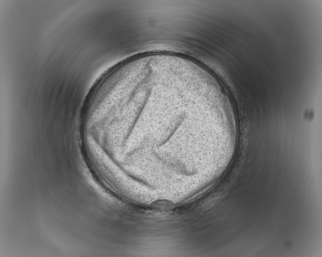 X0000111940991200908241136