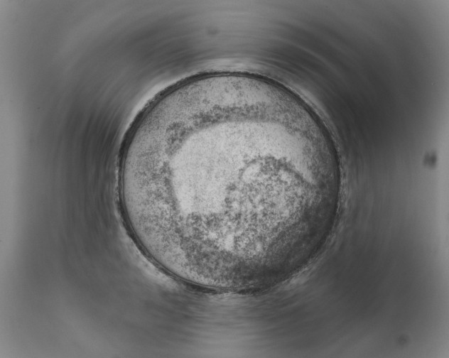 X0000111940992200908241136