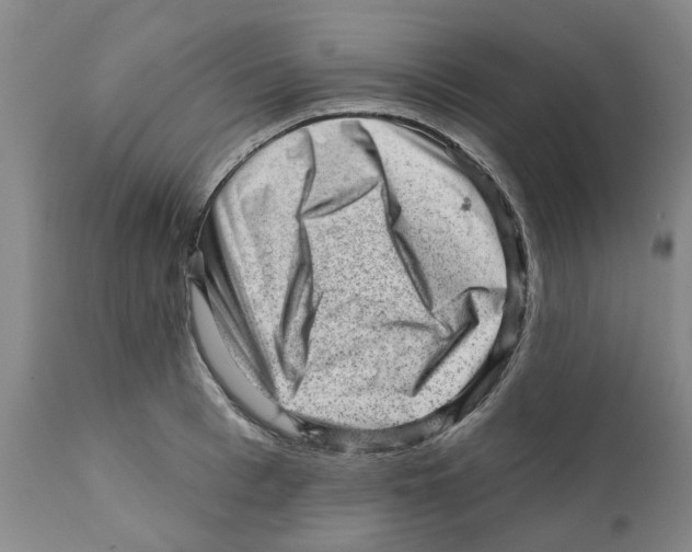 X0000111940993200908241136