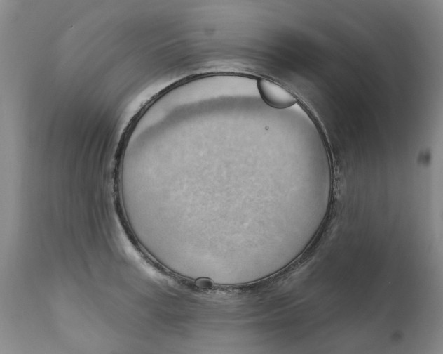 X0000111940995200908241136