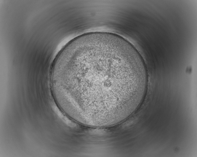 X0000111940998200908241136