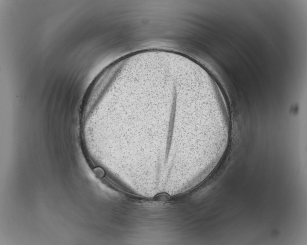 X0000111940999200908241136