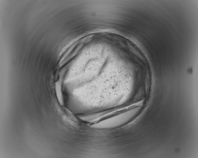 X0000111941001200908241136