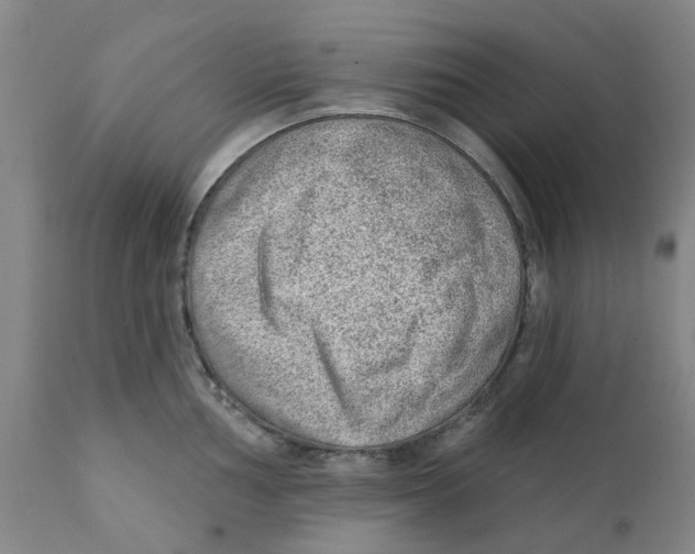 X0000111941002200908241136