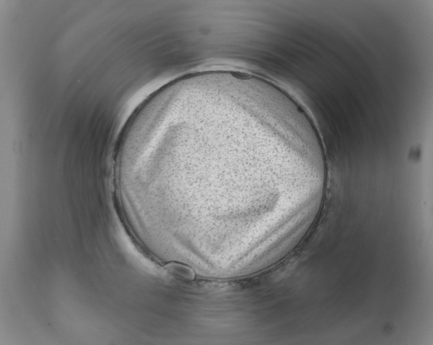 X0000111941003200908241136