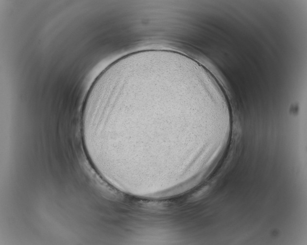 X0000111941004200908241136