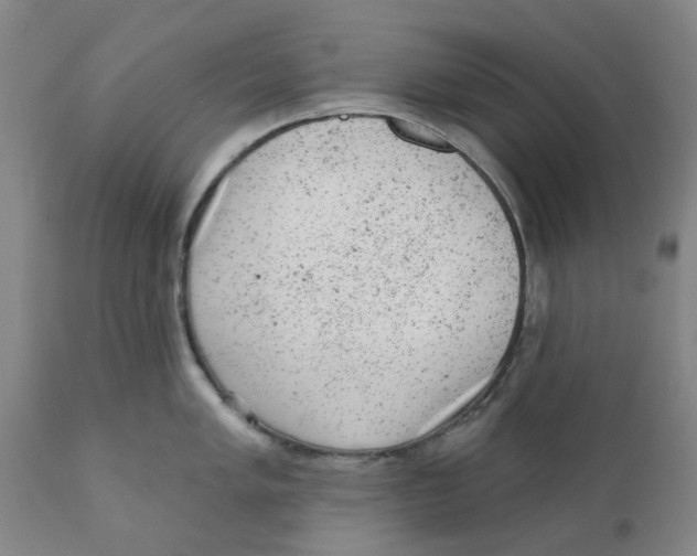 X0000111941005200908241136