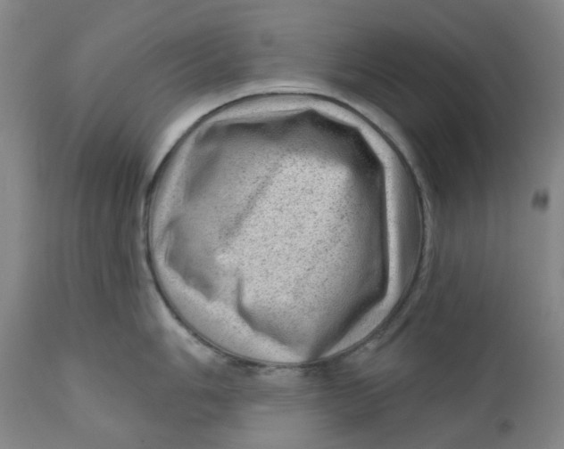 X0000111941006200908241136