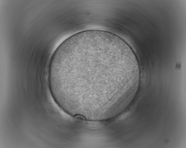 X0000111941007200908241136