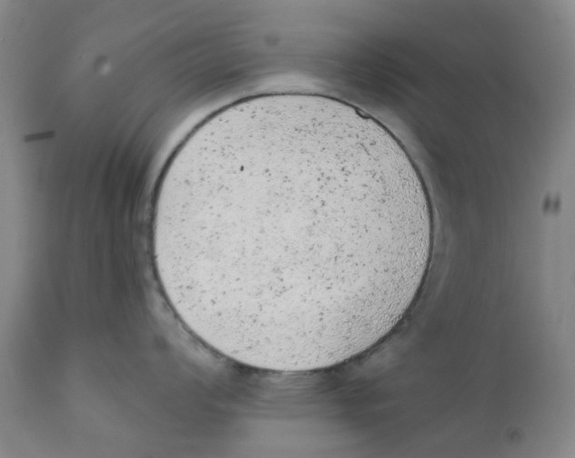 X0000111941008200908241136