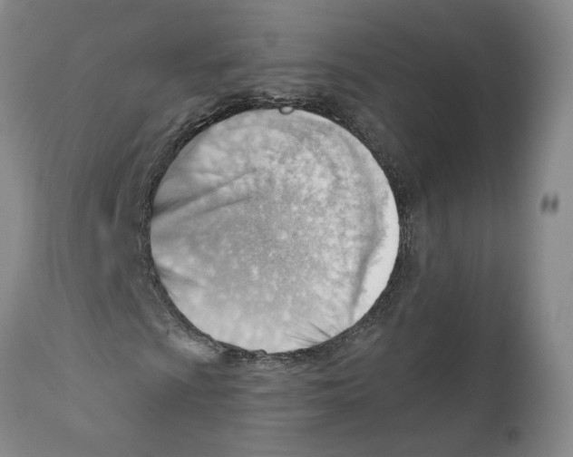 X0000111941009200908241135