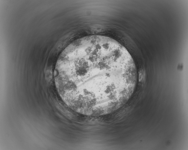 X0000111941011200908241135