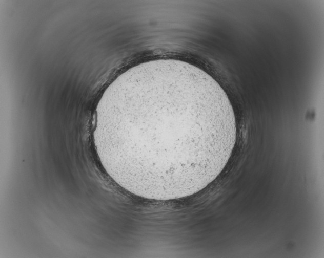 X0000111941012200908241135