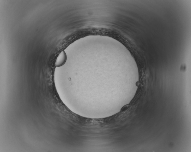 X0000111941013200908241135