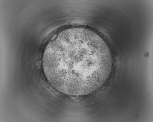 X0000111941015200908241135