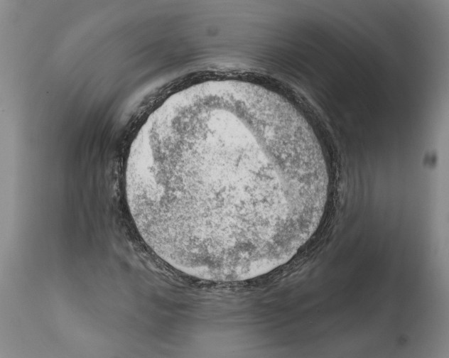 X0000111941016200908241135