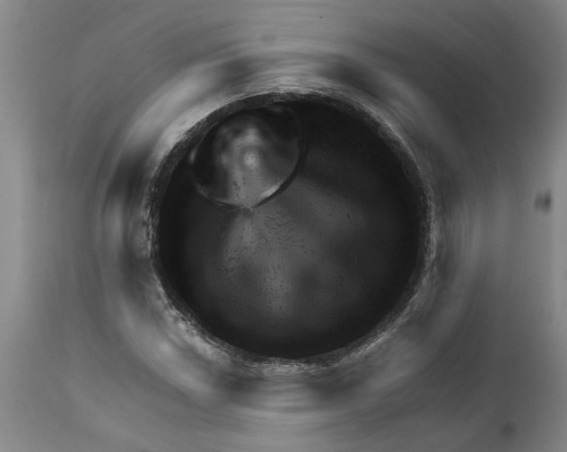 X0000111941018200908241135