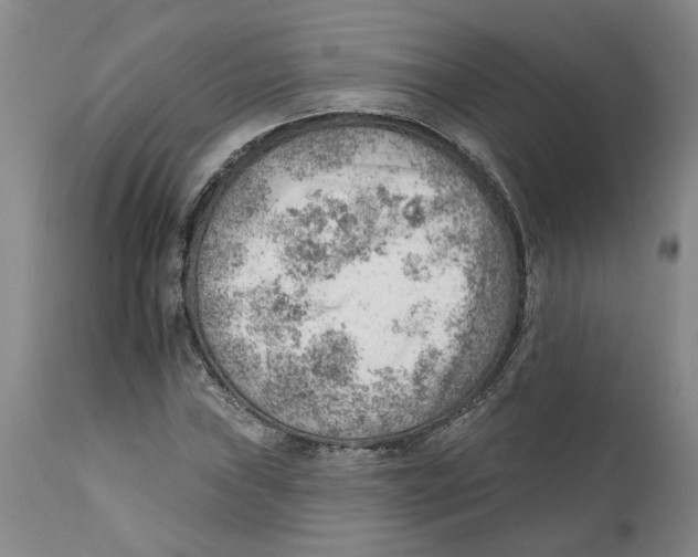 X0000111941019200908241135