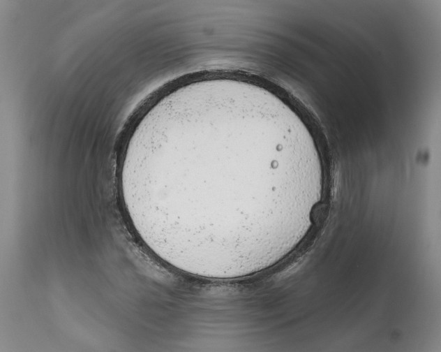 X0000111941021200908241135